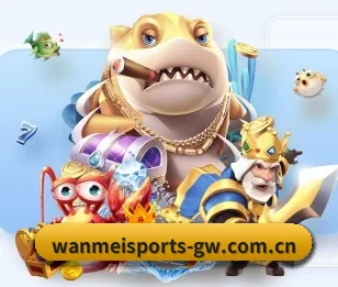 关于我们 - 体育资讯内容服务（WanmeiSports）