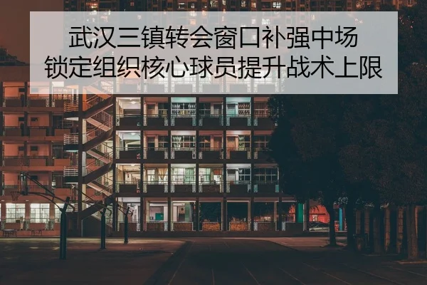 武汉三镇转会窗口补强中场 锁定组织核心球员提升战术上限 | WanmeiSports